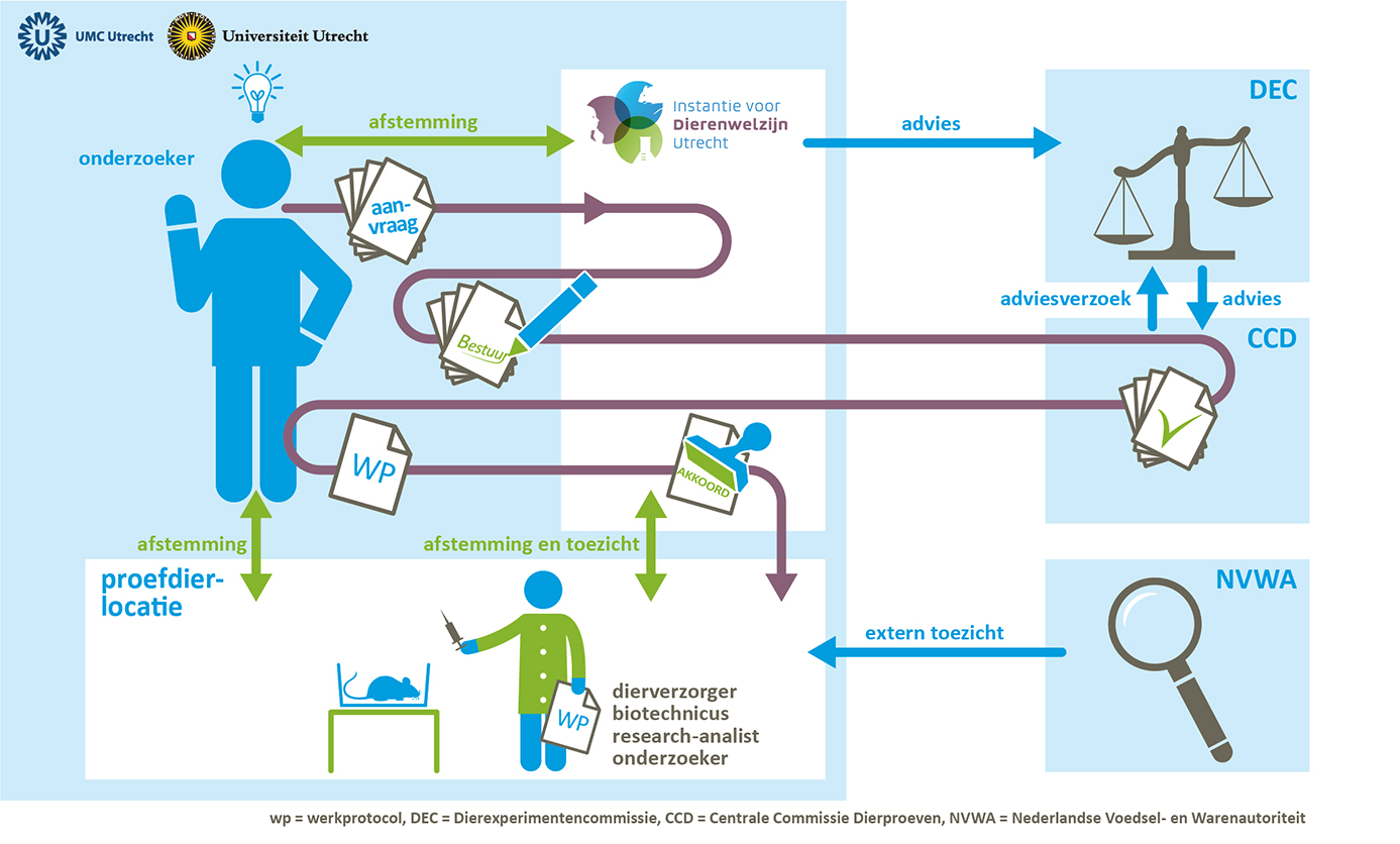 Culture of Care